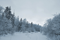 Snow Covered Countryside